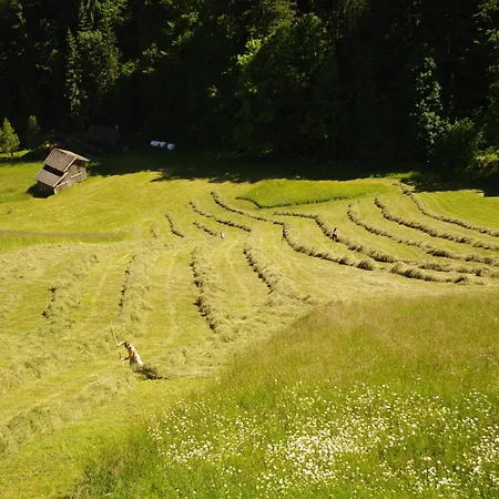 Vakantiehuis In Tyrol With Sauna And Slopes, Cleaning Included